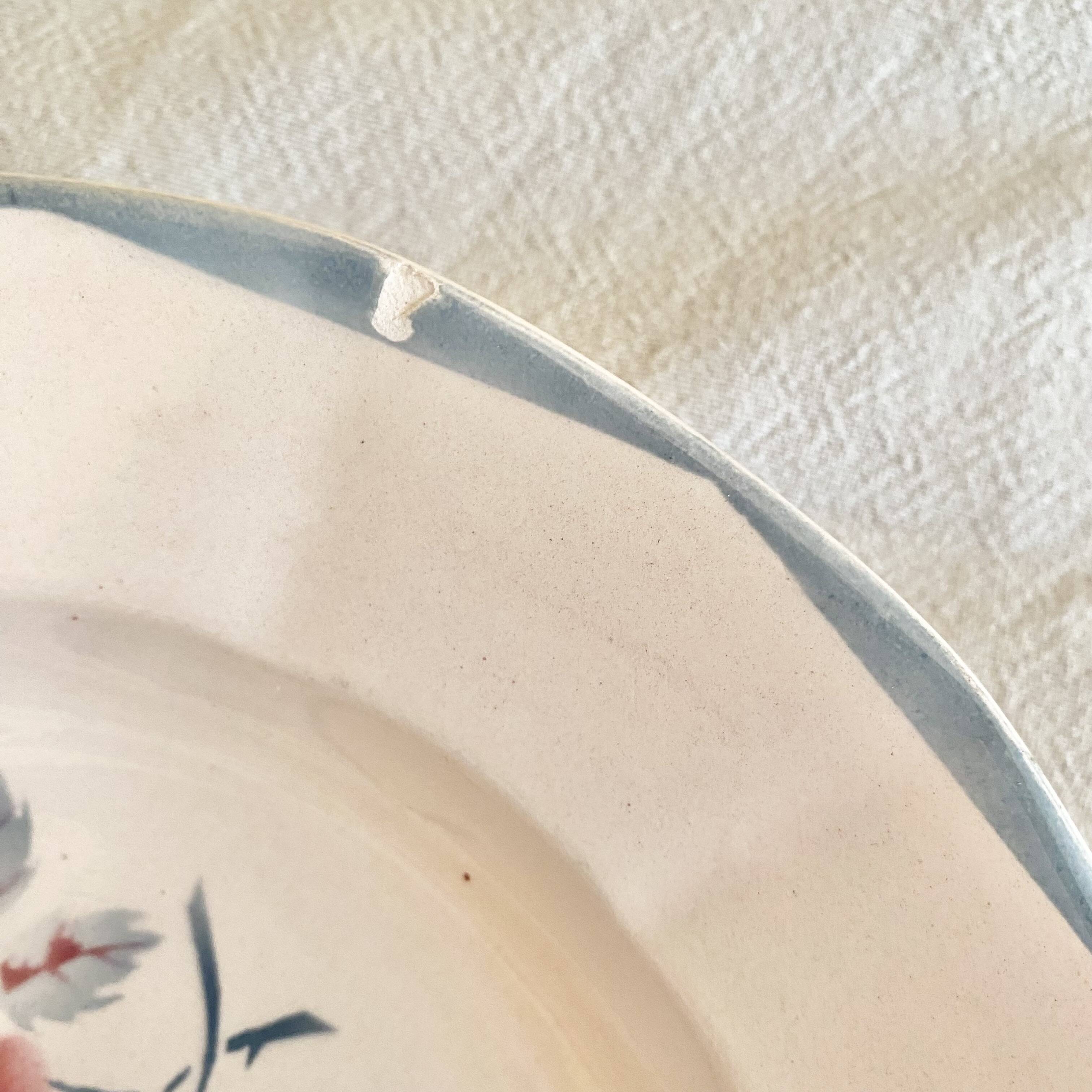 Digouin iron earth soup plates