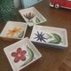 Lot de 4 coupelles vintages