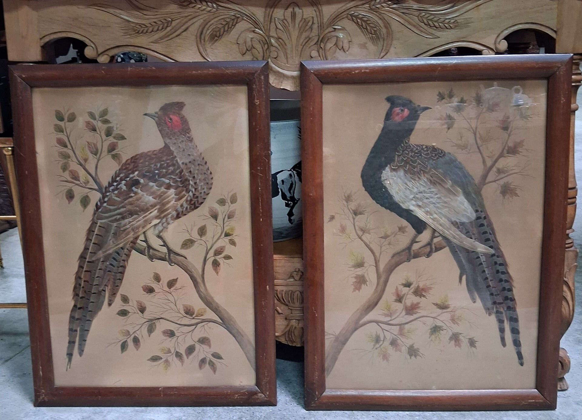 Paire de tableaux naturalistes en plumes véritables