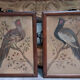 Paire de tableaux naturalistes en plumes véritables