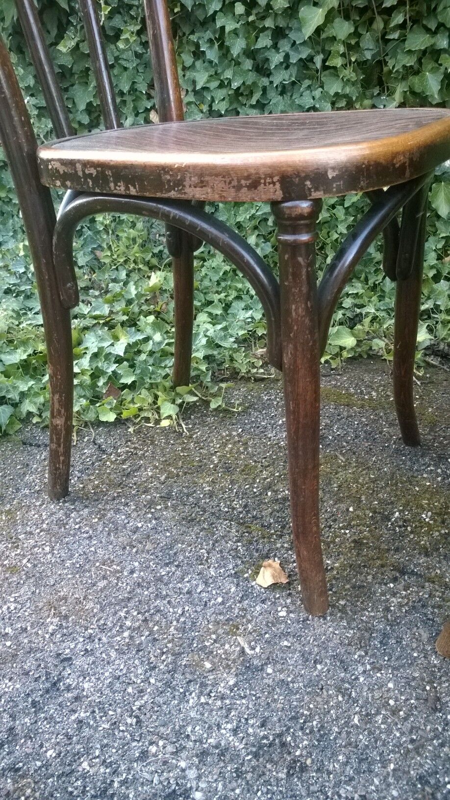 Fischel Curved Wood Chairs Number 37