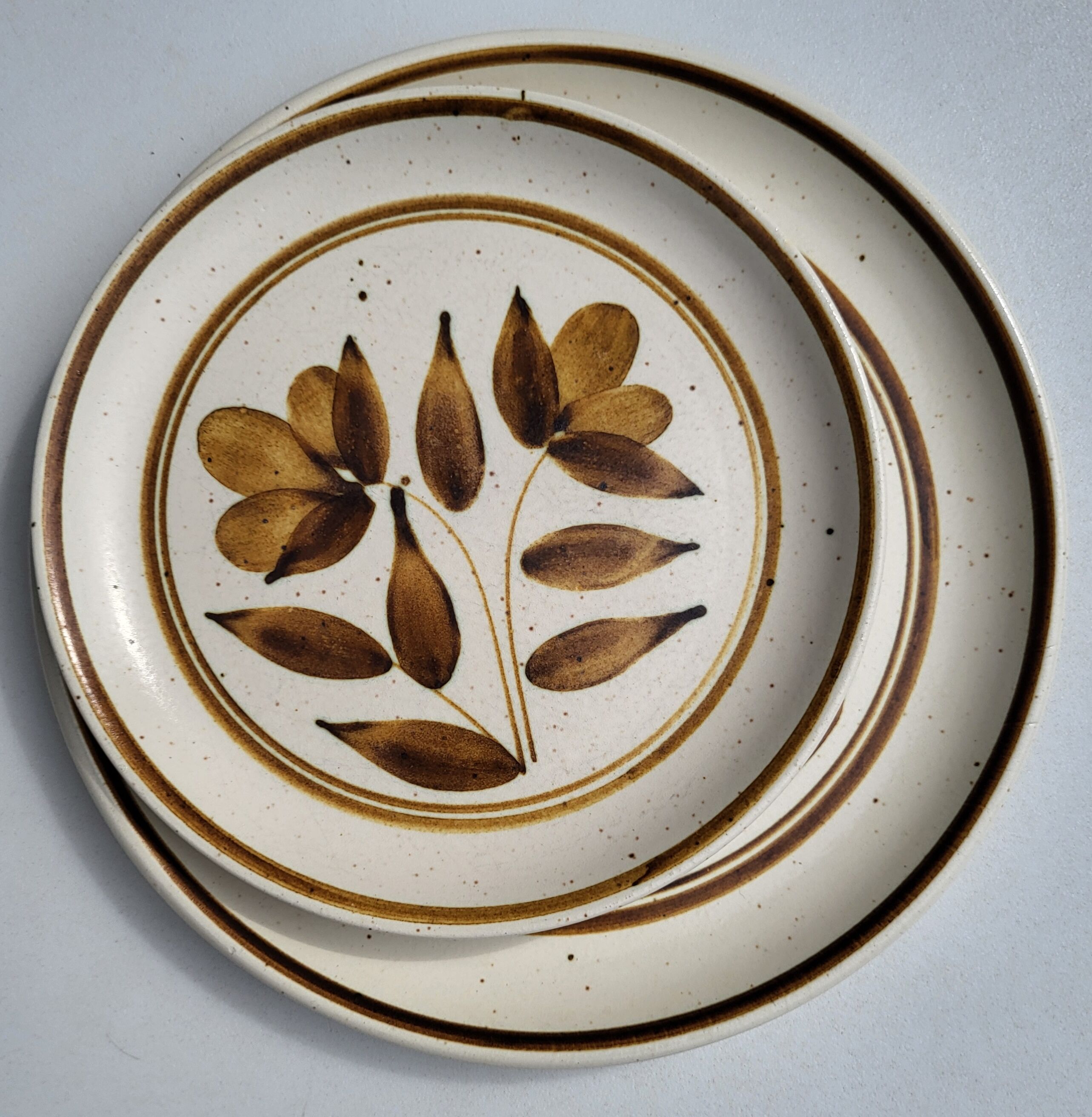 Duo d'assiettes en grès Longchamp marron à décor de fleurs