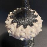 Cabinet of Curiosities imperial sea urchin Phyllacanthus imperialis on a base
