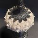 Cabinet of Curiosities imperial sea urchin Phyllacanthus imperialis on a base