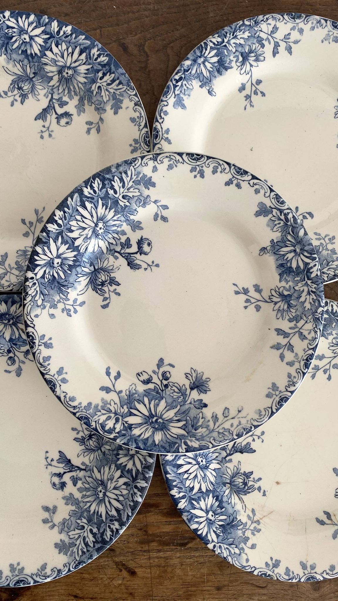 6 assiettes plates en terre de fer Gien "fleur d'automne"