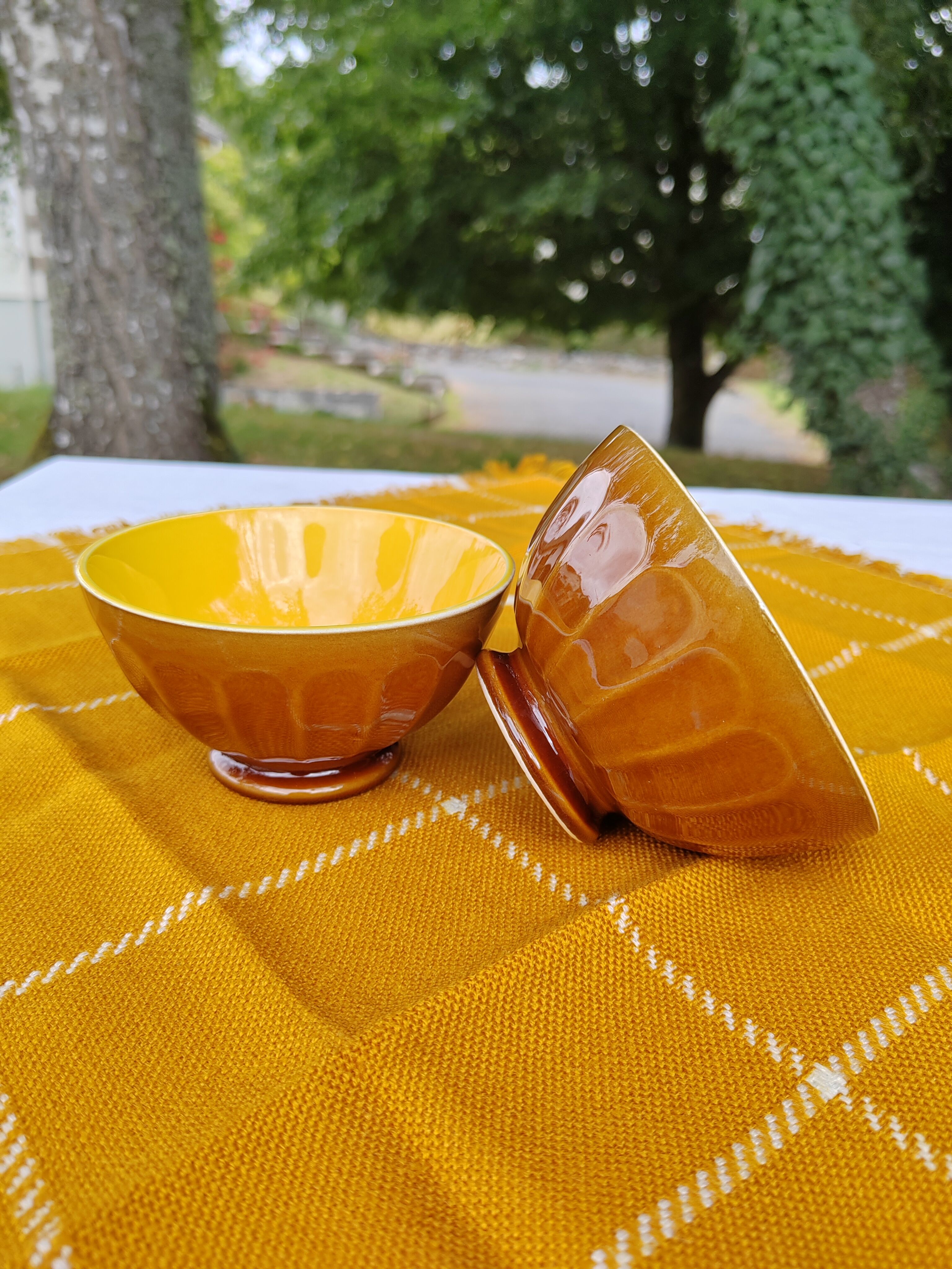 Pair of brown/yellow ribbed bowls - Digoin & Sarreguemines