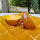 Pair of brown/yellow ribbed bowls - Digoin & Sarreguemines