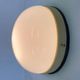Pair of Bakelite Bauhaus ceiling lights or Flush Mounts, wall lamps - 1940s
