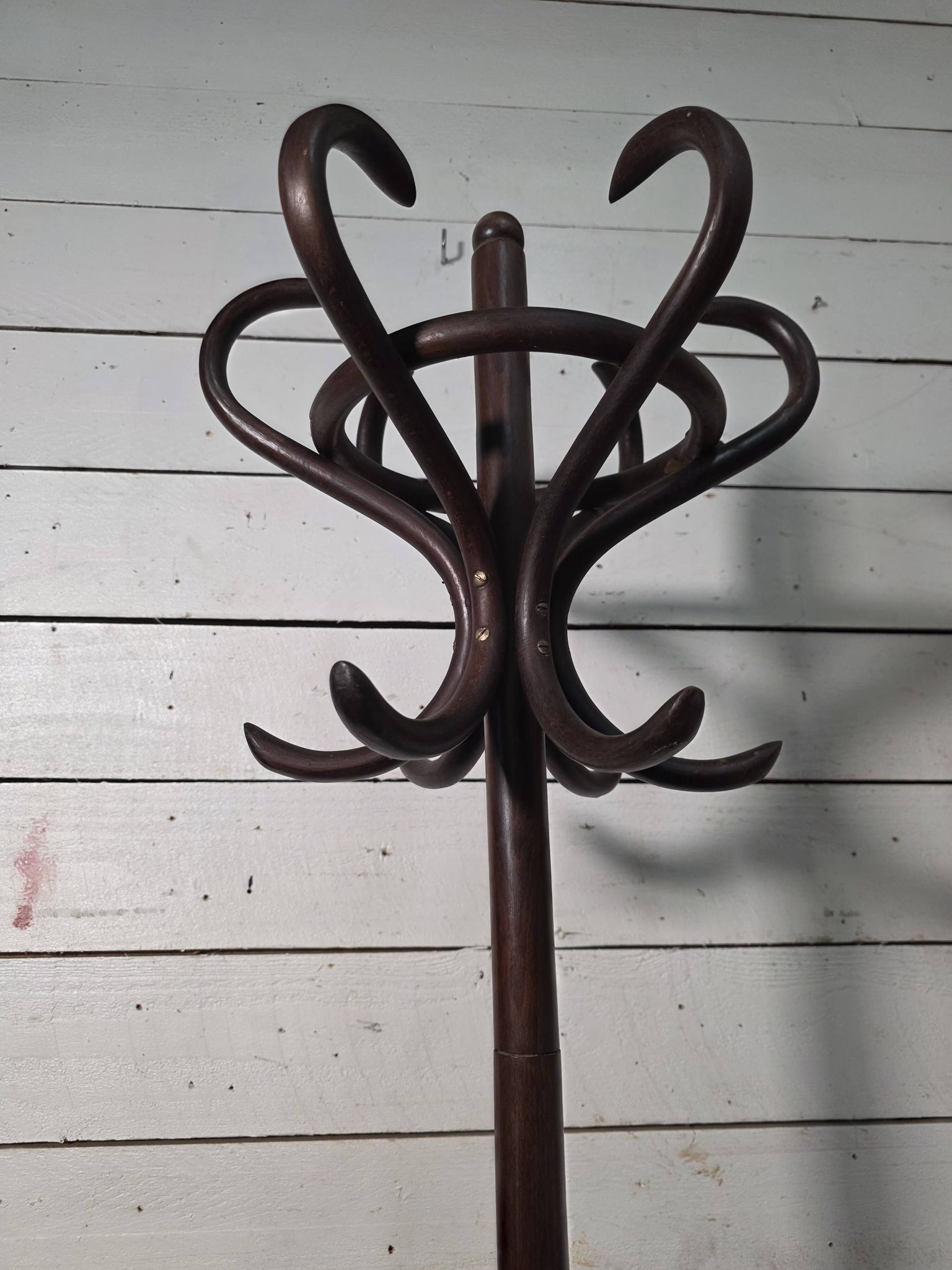 Perroquet en bois courbé ancien 