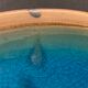 4 flat plates in blue enamelled ceramic La Poterie de la Colombe