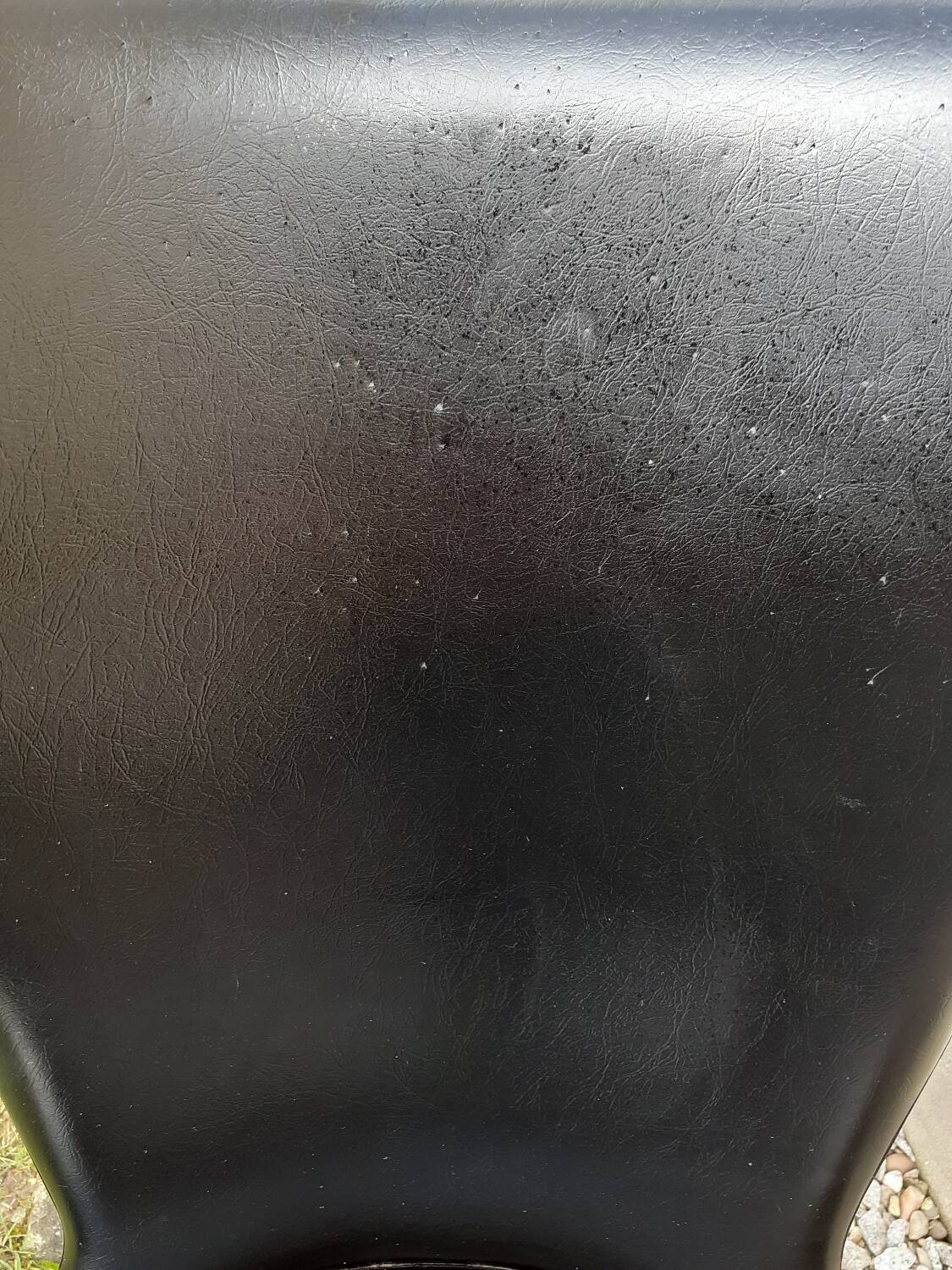 Chaises baumann essor