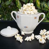 Sugar powder Badonviller porcelain