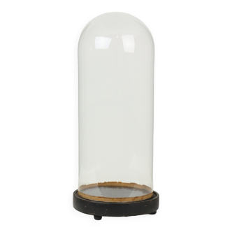 Vintage Glass Bell Jar XL Size Black Wooden Base 50cm
