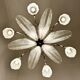 Art Deco Chandelier