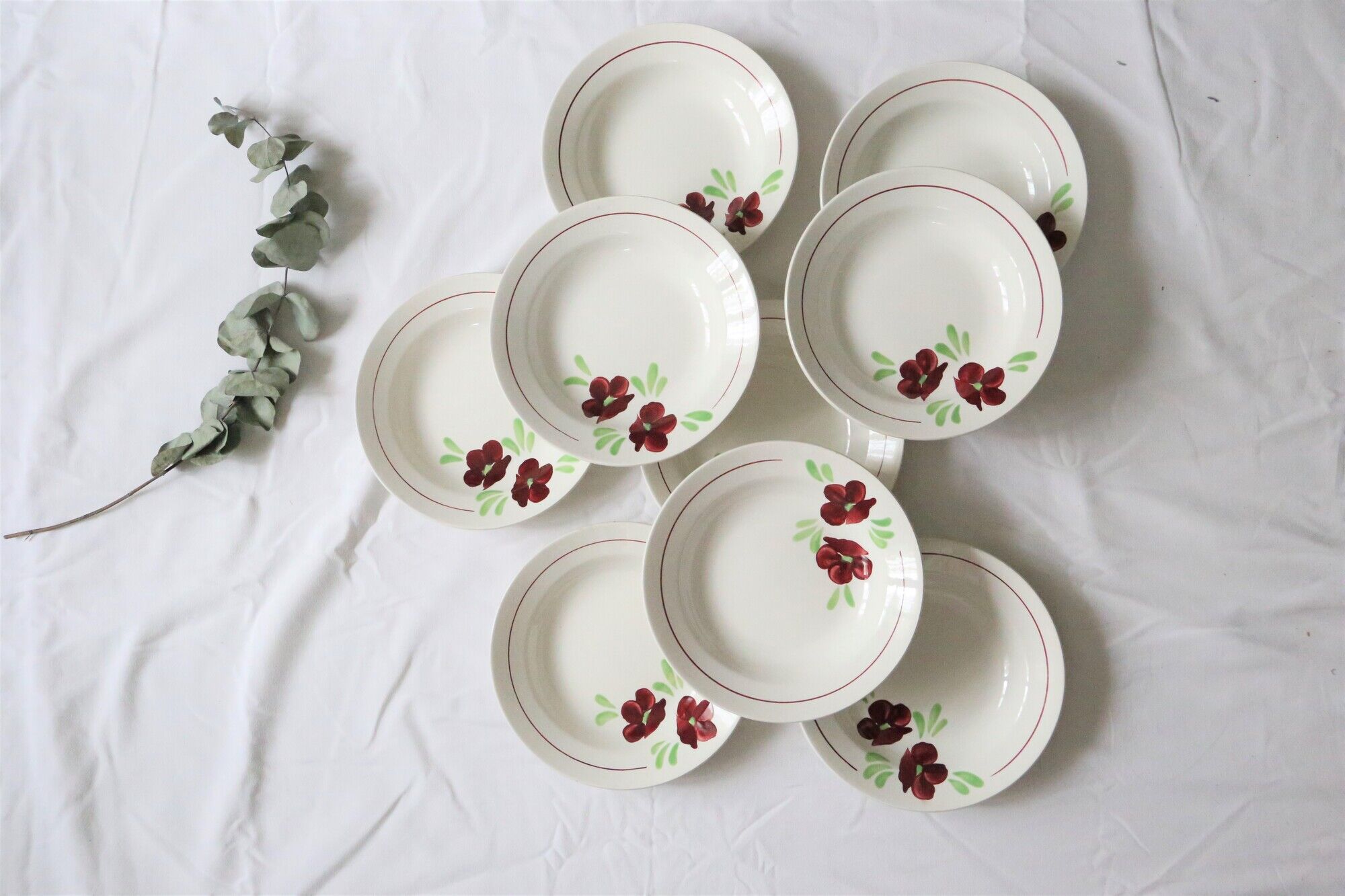 Set of 9 Salins hollow plates, Ninon pattern, French vintage, authentic, rare, countryside