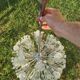 "Dandelion" or "Sputnik" chandelier, 1950s, designed by Emil Stejnar