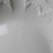 Dessert service Limoges L&Cie Lafarge 12 pieces white porcelain years
