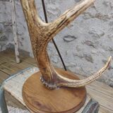 Old horn lamp