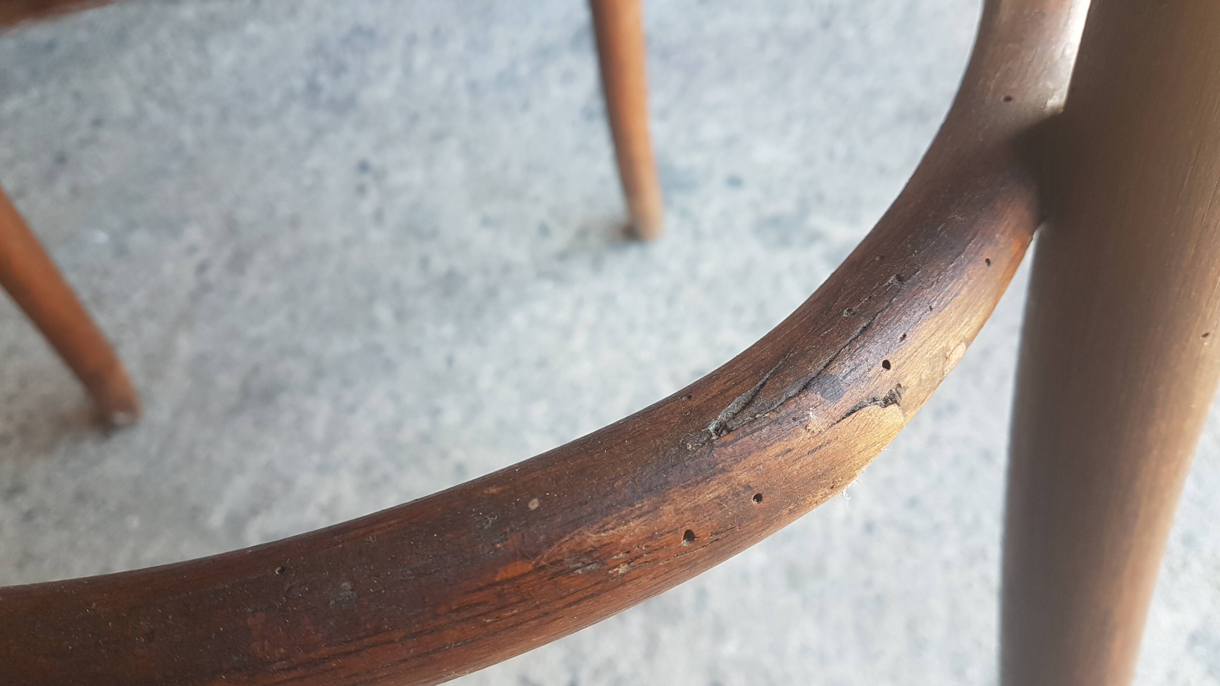 Pair of Seated Thonet chairs