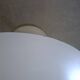 Tulip leg round table