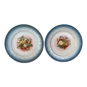 Pair of old plates maestrich Holland earthenware