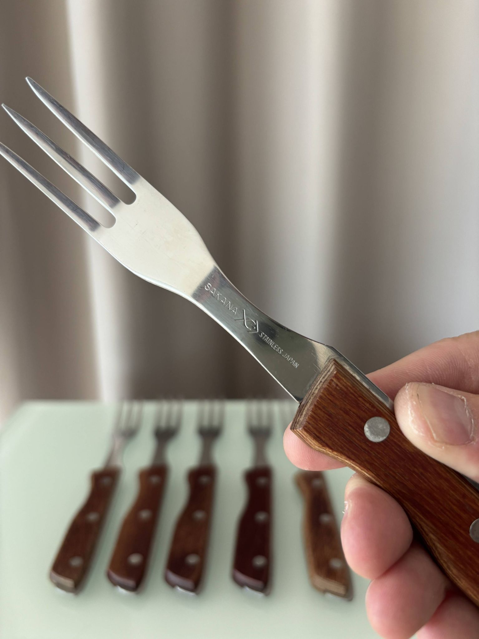 Set of 6 Vintage Sakana Japan Forks | Stainless Steel & Wood Handles