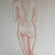 Female nude drawing