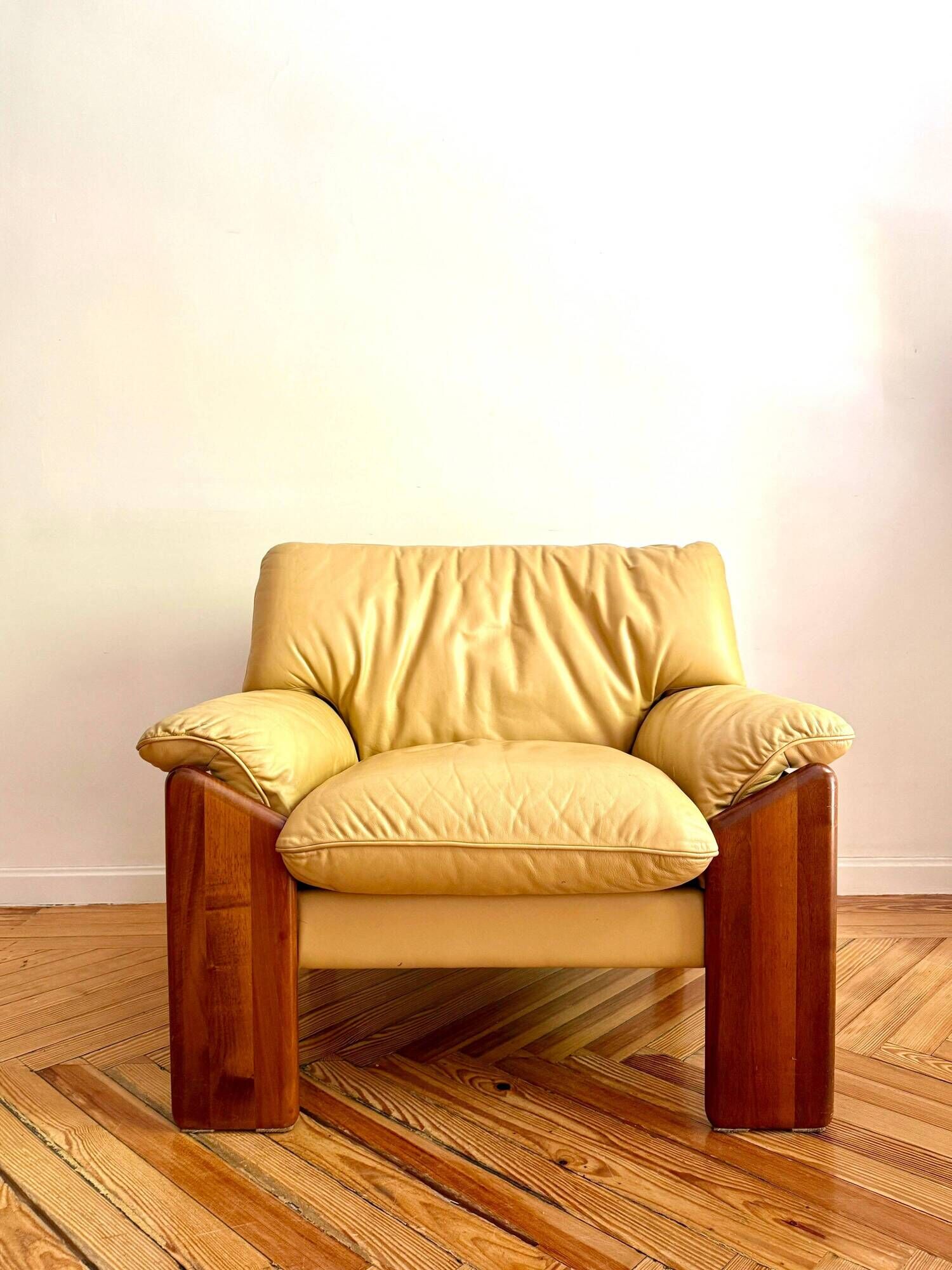 Pair of “Sapporo” armchairs by Mario Marenco for Mobil Girgi, Italy, 1970s