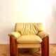 Pair of “Sapporo” armchairs by Mario Marenco for Mobil Girgi, Italy, 1970s