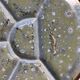 Set of 6 ceramic plates compartmentalized