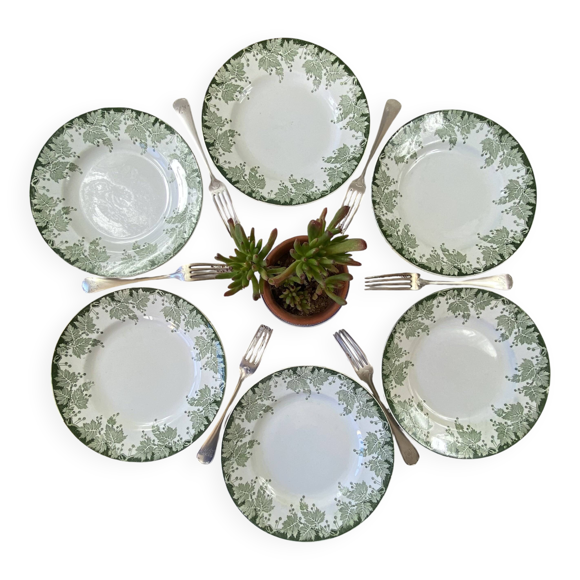 Set of 6 Saint Amand et Hamage ironstone dinner plates, Platane pattern