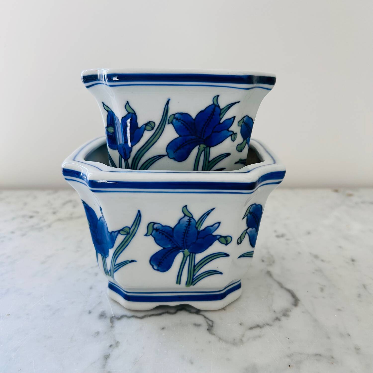 Duo of decorative plant pots with blue irises.