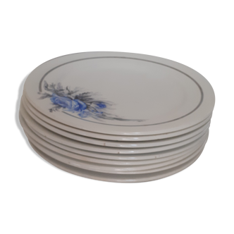 10 flat plates, white background and blue flowers. Sarreguemines. France. Years 30.