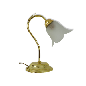 Lampe col de cygne de