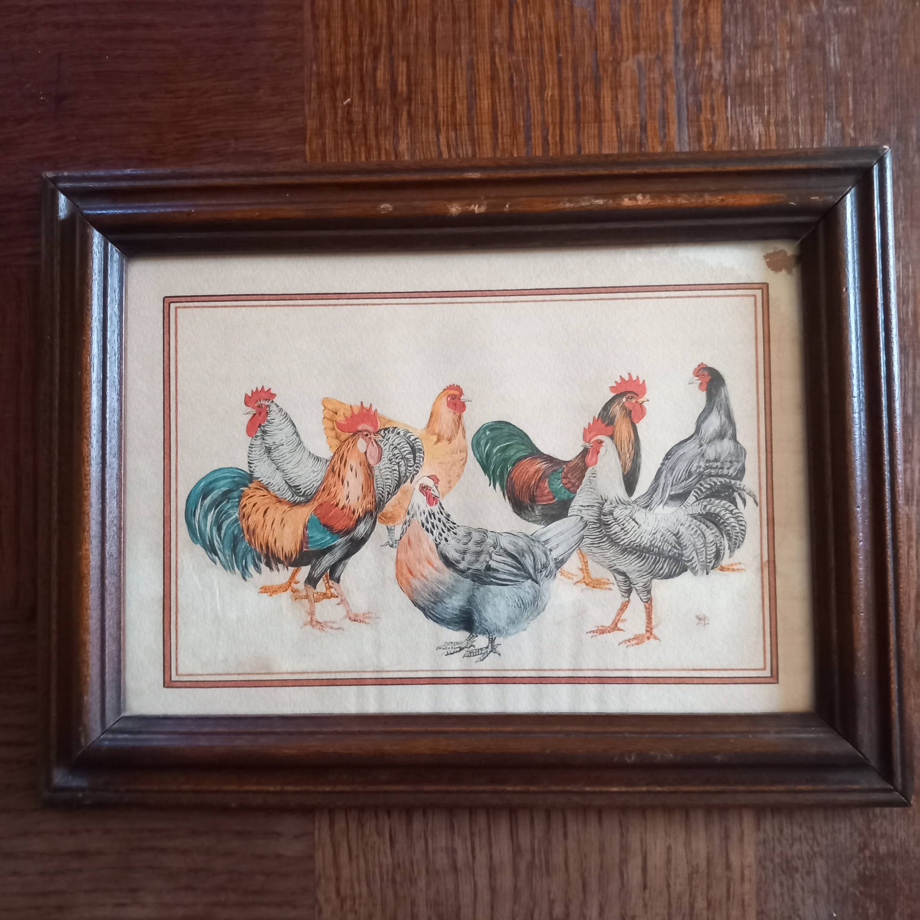 Roosters and hens