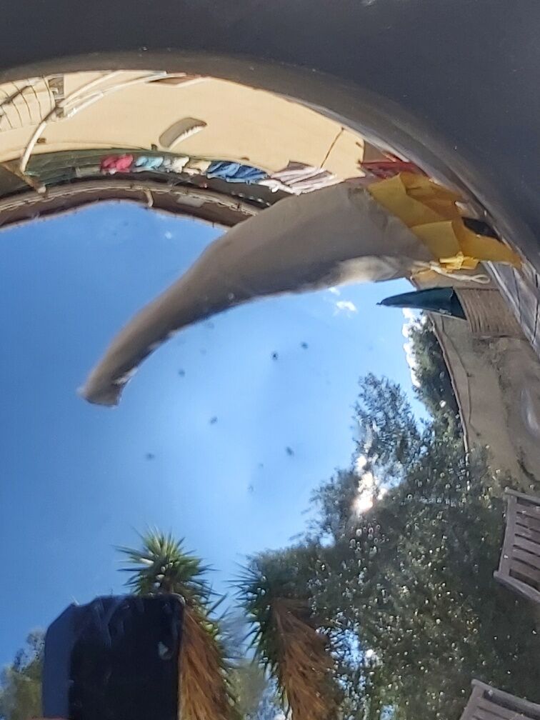 Wall light A25 Alain Richard, editions Disderot