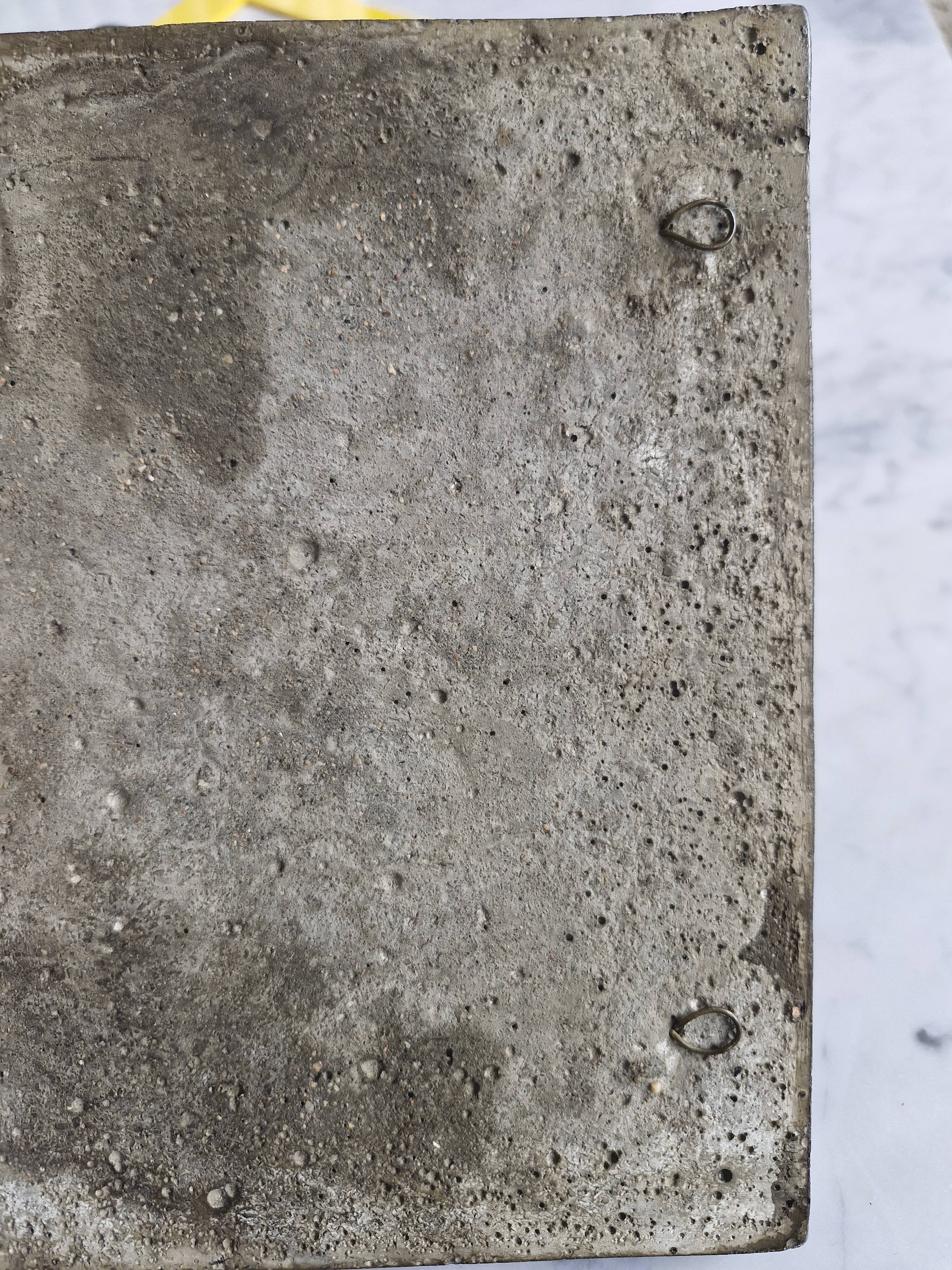 Bas-relief plaque of a rabbit in brown patina, seated cat
