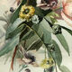 Pair of large watercolors. Bouquets of flowers Late nineteenth, early twentieth Stunt wooden frames and d