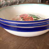 Set of 6 Peacock hollow plates