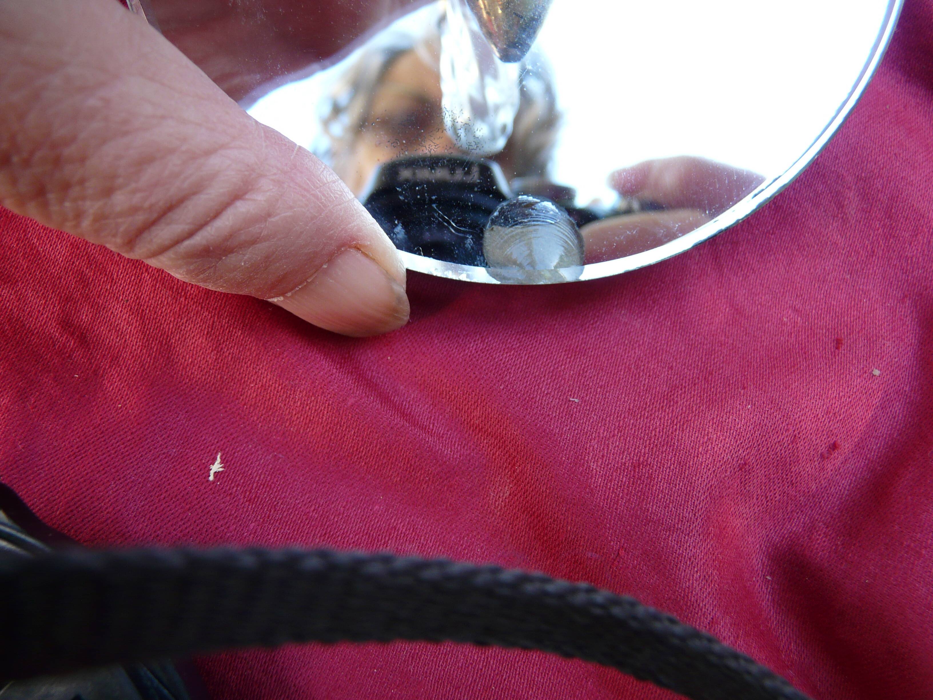 Pair of cup mirror sconces, Murano, vintage, 1940s