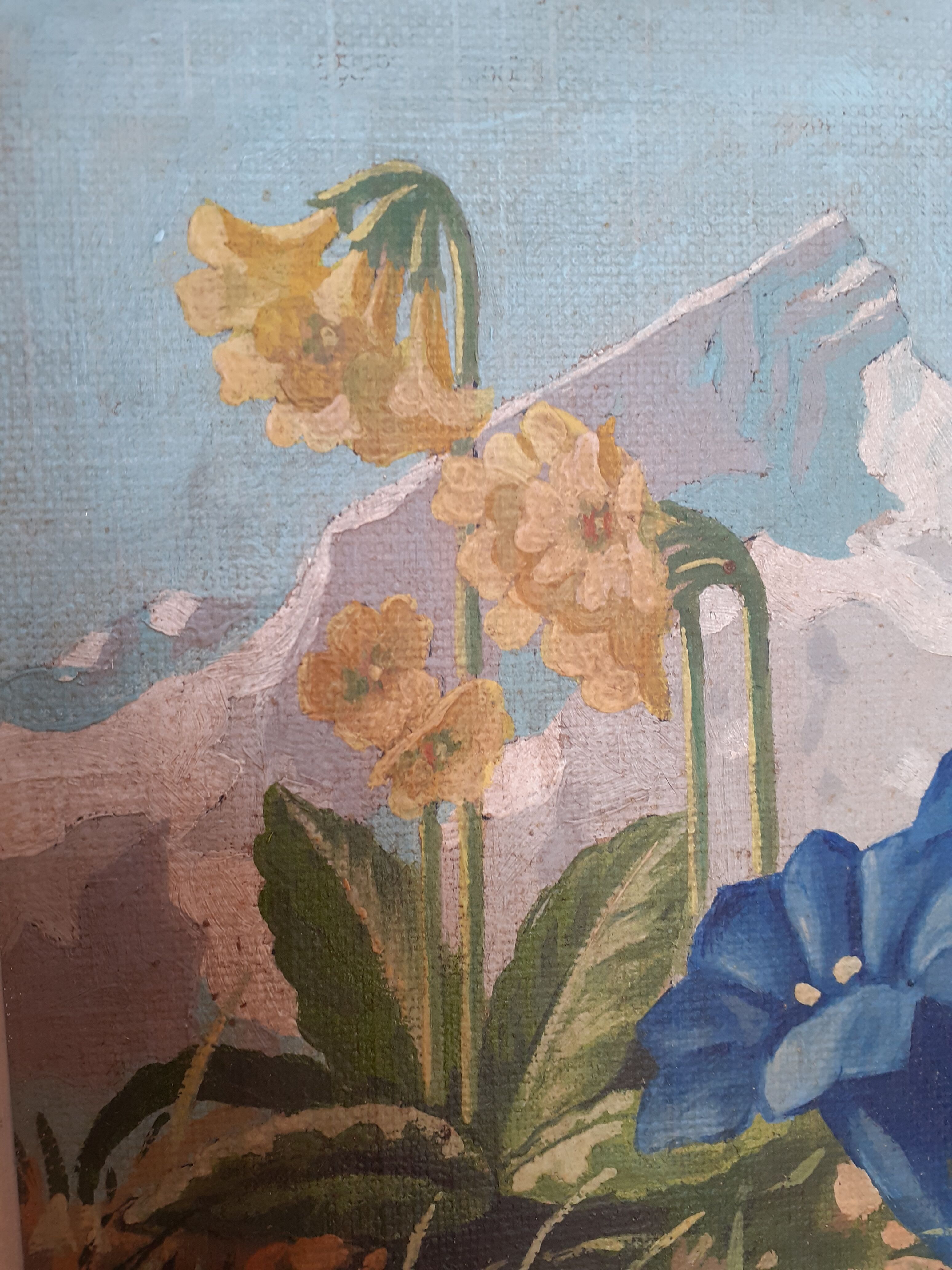 Square table flowers of the mountain fields