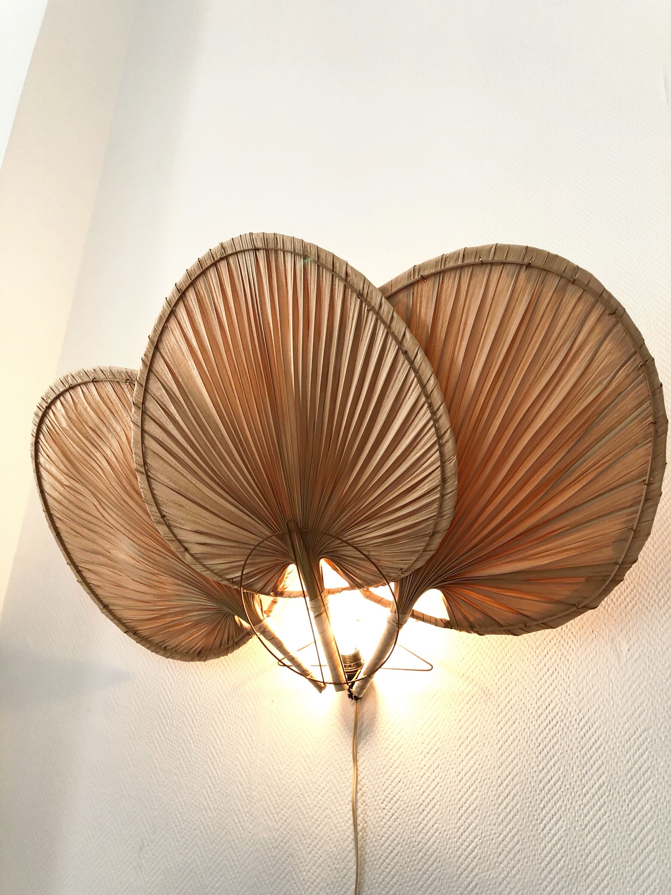 Vintage fan wall lamp 1970
