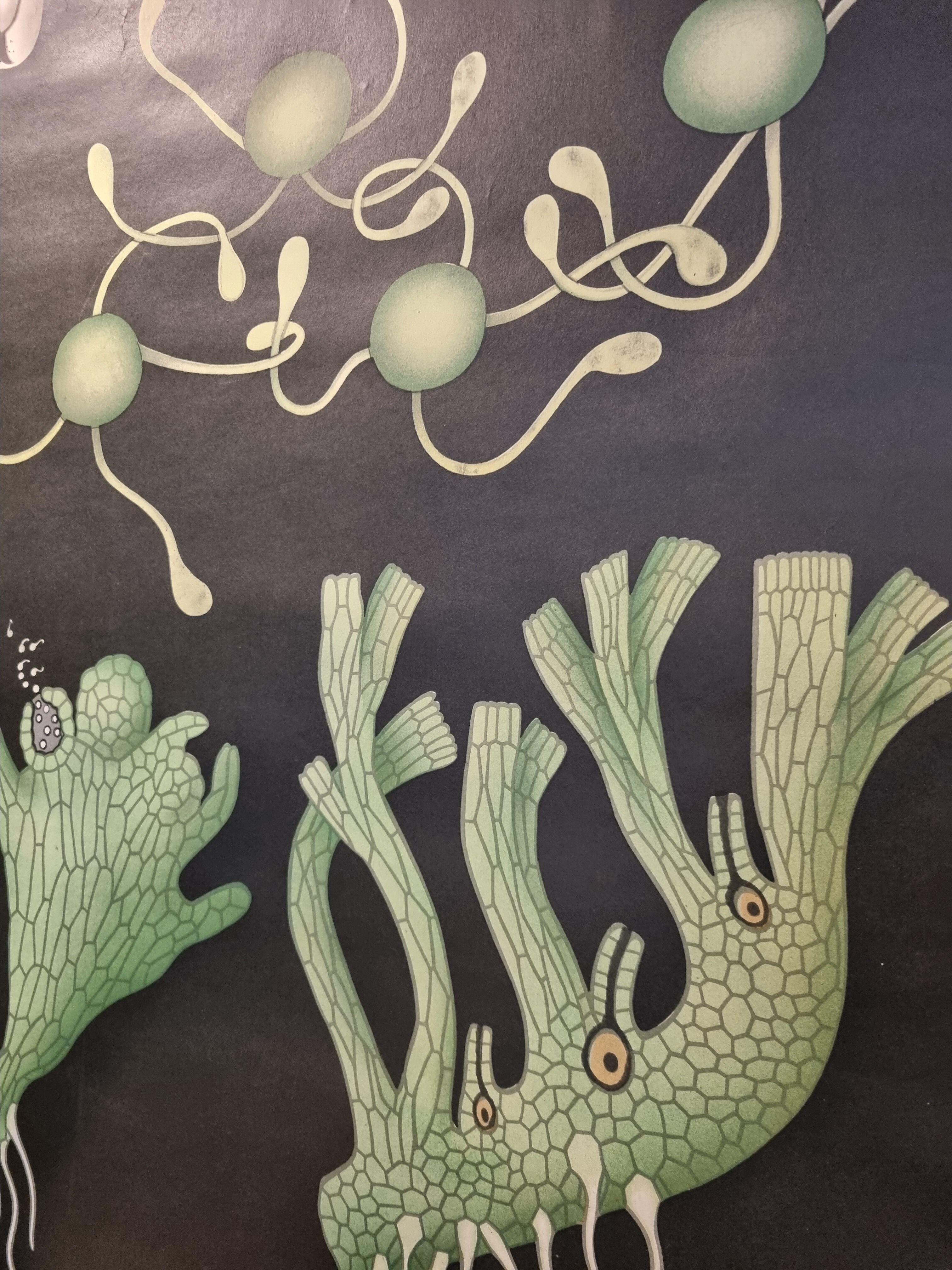 Botanical board coated tissue