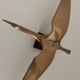 Brass albatross