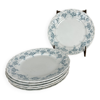 Ensemble de 6 assiettes plates en faïence de Maastricht modèle Clara