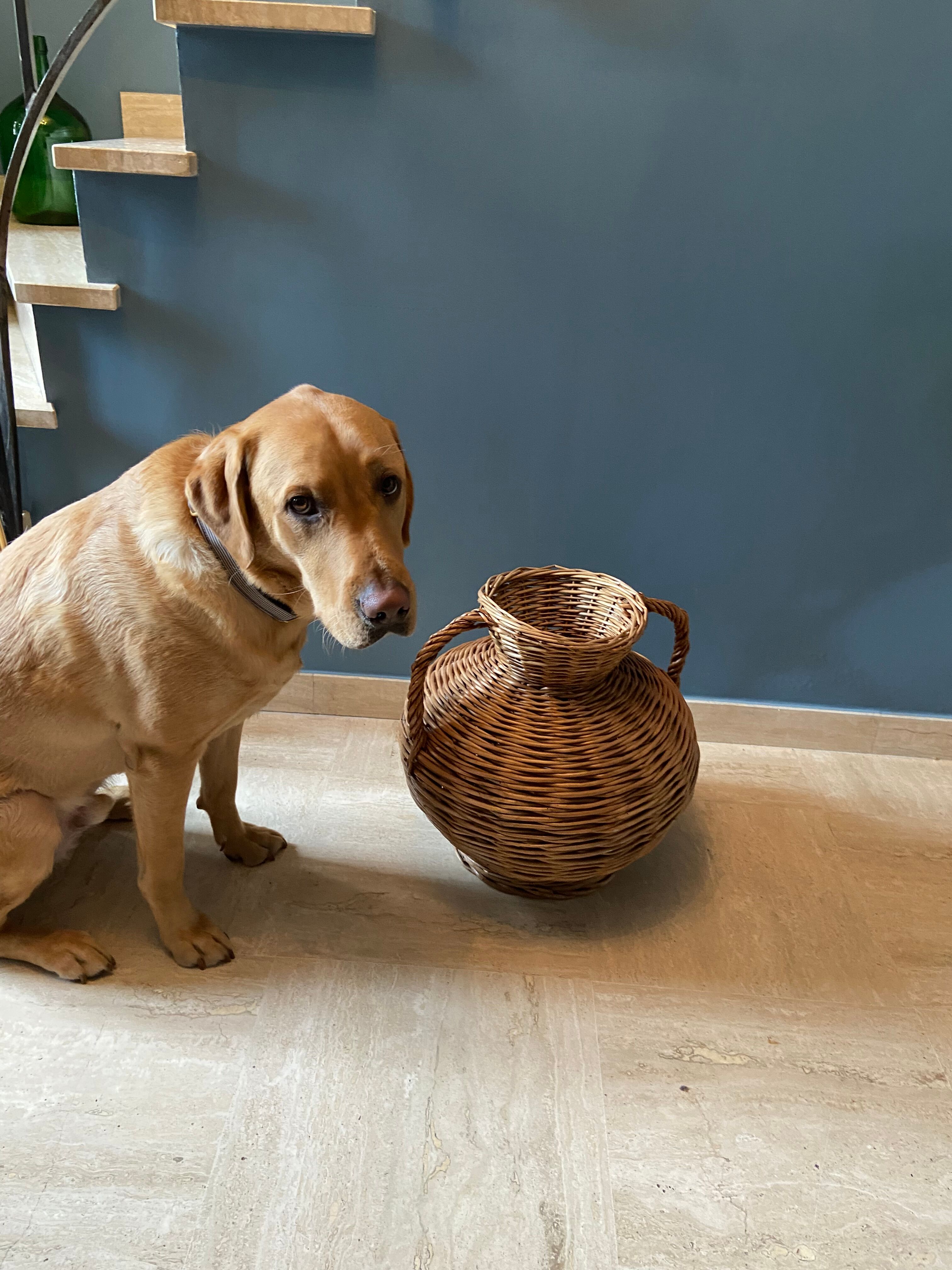 Vase panier en rotin