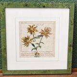 Set of 4 framed prints