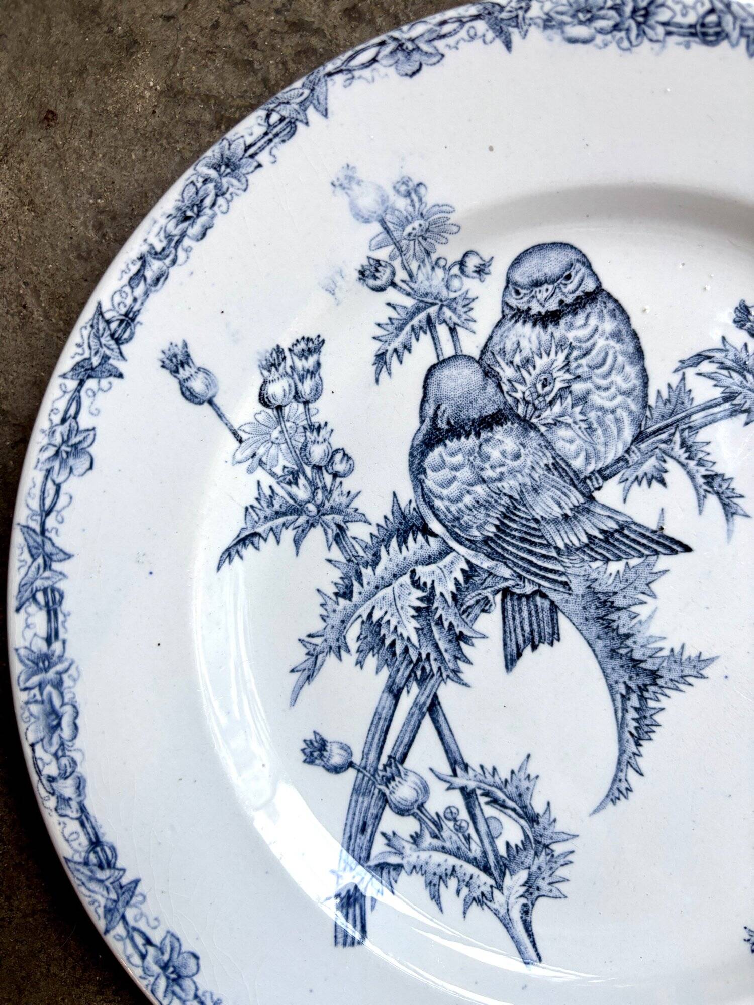 Clairefontaine plate dish - Léon Graves in ironstone, "Chardonnerets" service from the late 19th century.