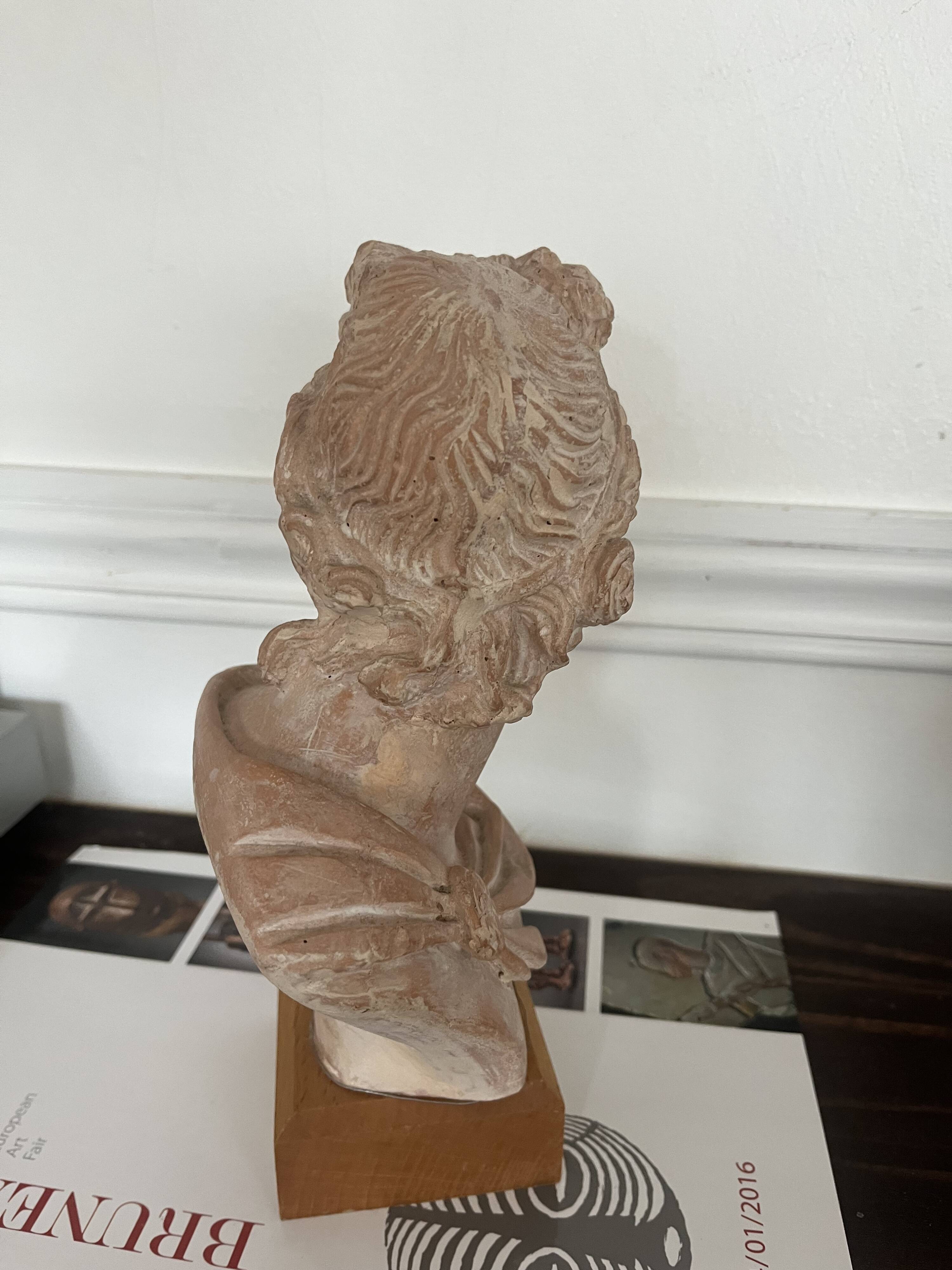 Terracotta bust of Apollo