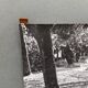 Silver gelatin photograph by Bernard Darot, Light in the Undergrowth, 20th century